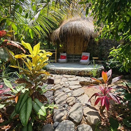Les Garden Villa Tejakula Kültér fotó