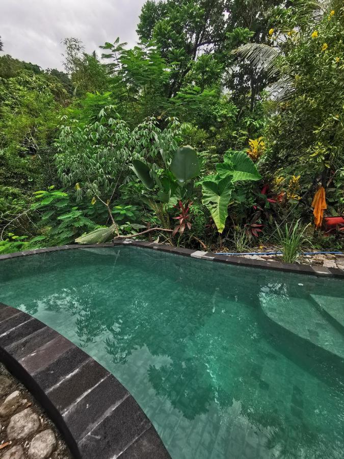 Les Garden Villa Tejakula Kültér fotó