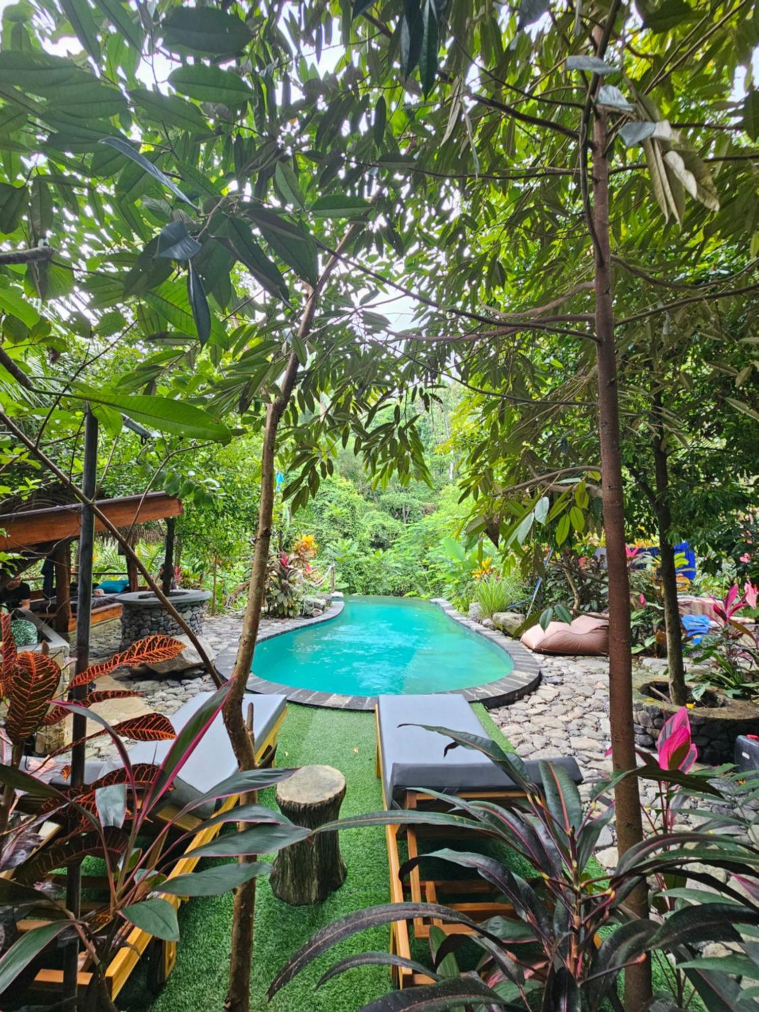 Les Garden Villa Tejakula Kültér fotó