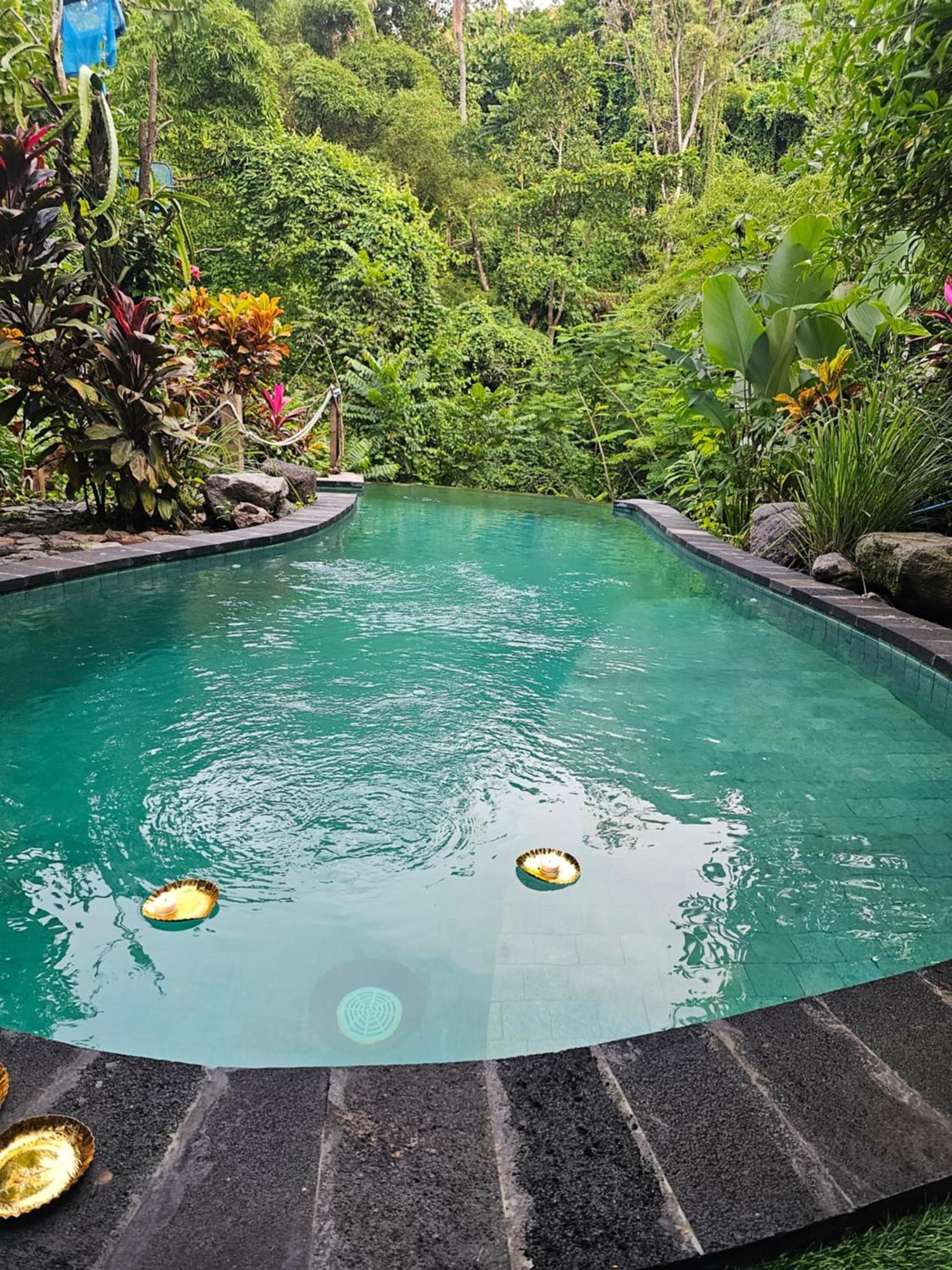 Les Garden Villa Tejakula Kültér fotó