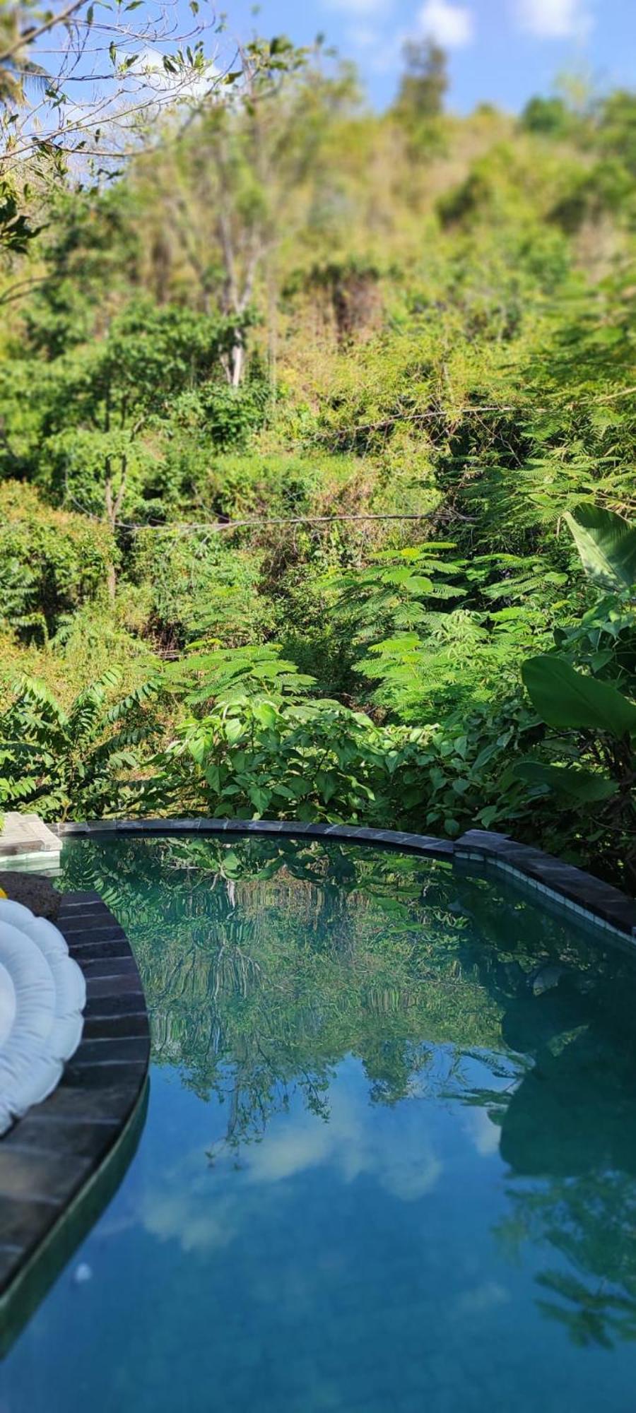 Les Garden Villa Tejakula Kültér fotó
