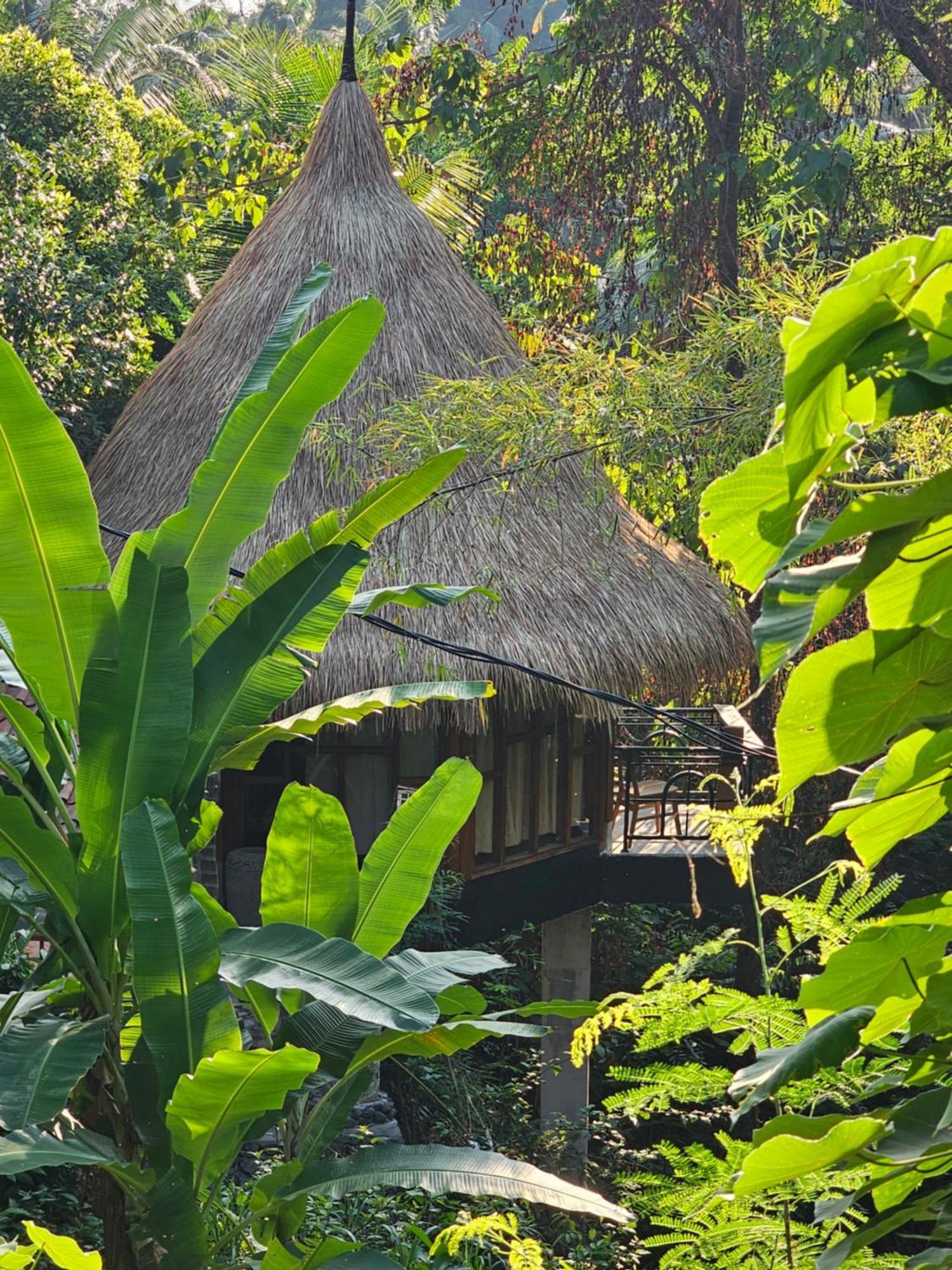 Les Garden Villa Tejakula Kültér fotó