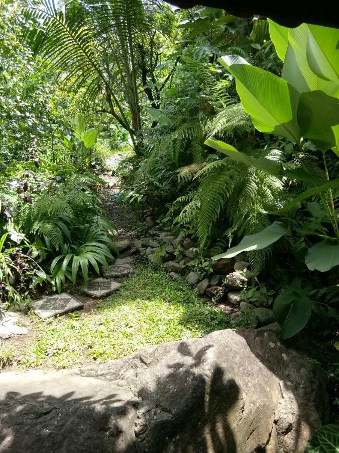 Les Garden Villa Tejakula Kültér fotó