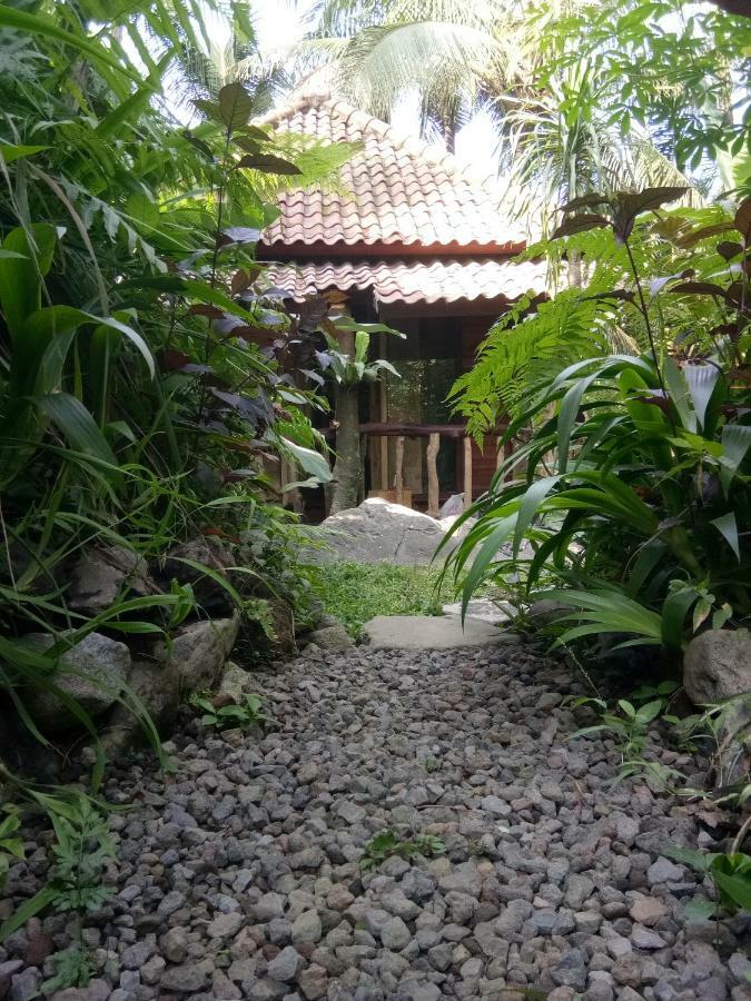 Les Garden Villa Tejakula Kültér fotó