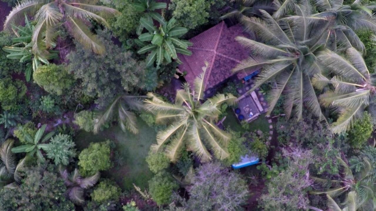 Les Garden Villa Tejakula Kültér fotó
